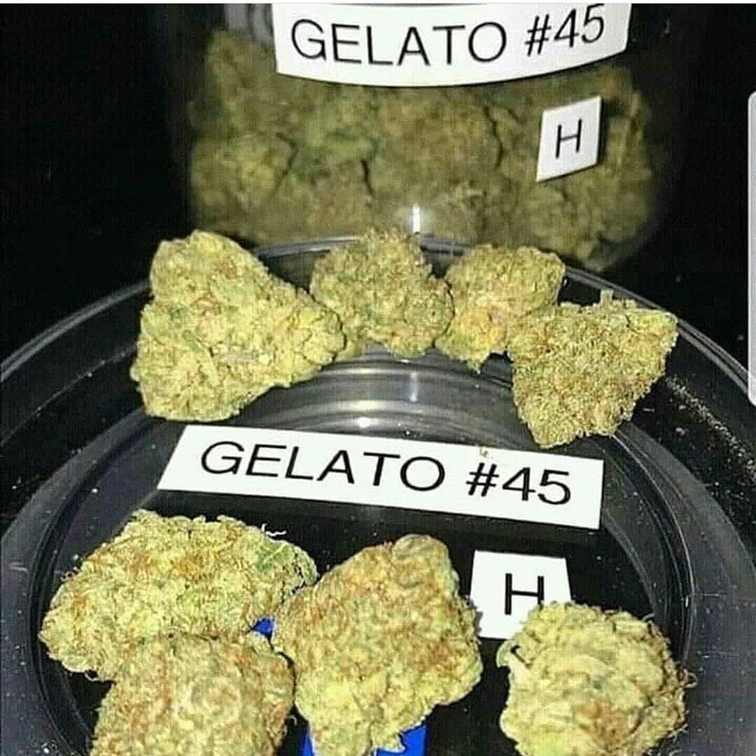 weedguy22's tweet image. 