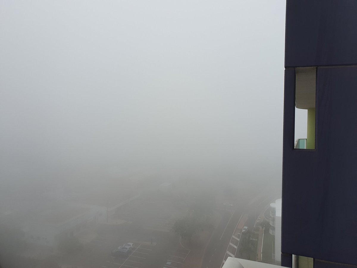surprising morning in Darwin