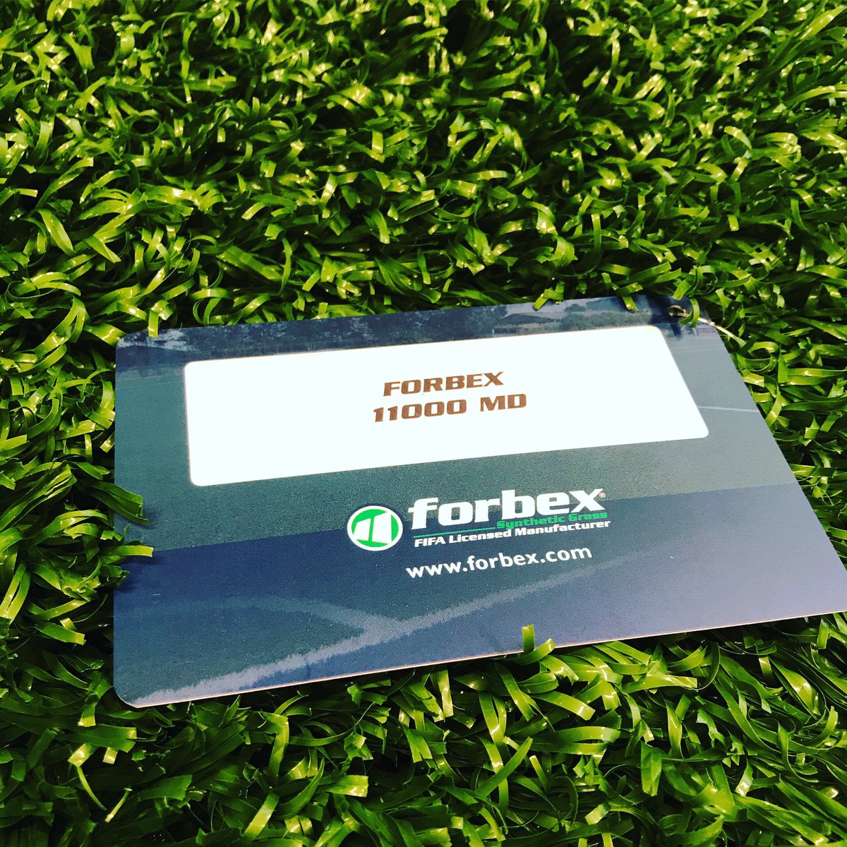 Comenzamos un nuevo proyecto de F5 sintético con alfombra de primera calidad <a href="/ForbexGrass/">Forbex</a>