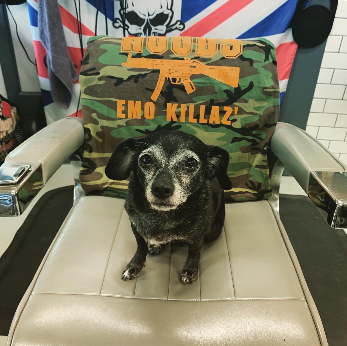 New Camo tank tops. Dog not included. E me hoods916@hotmail.com