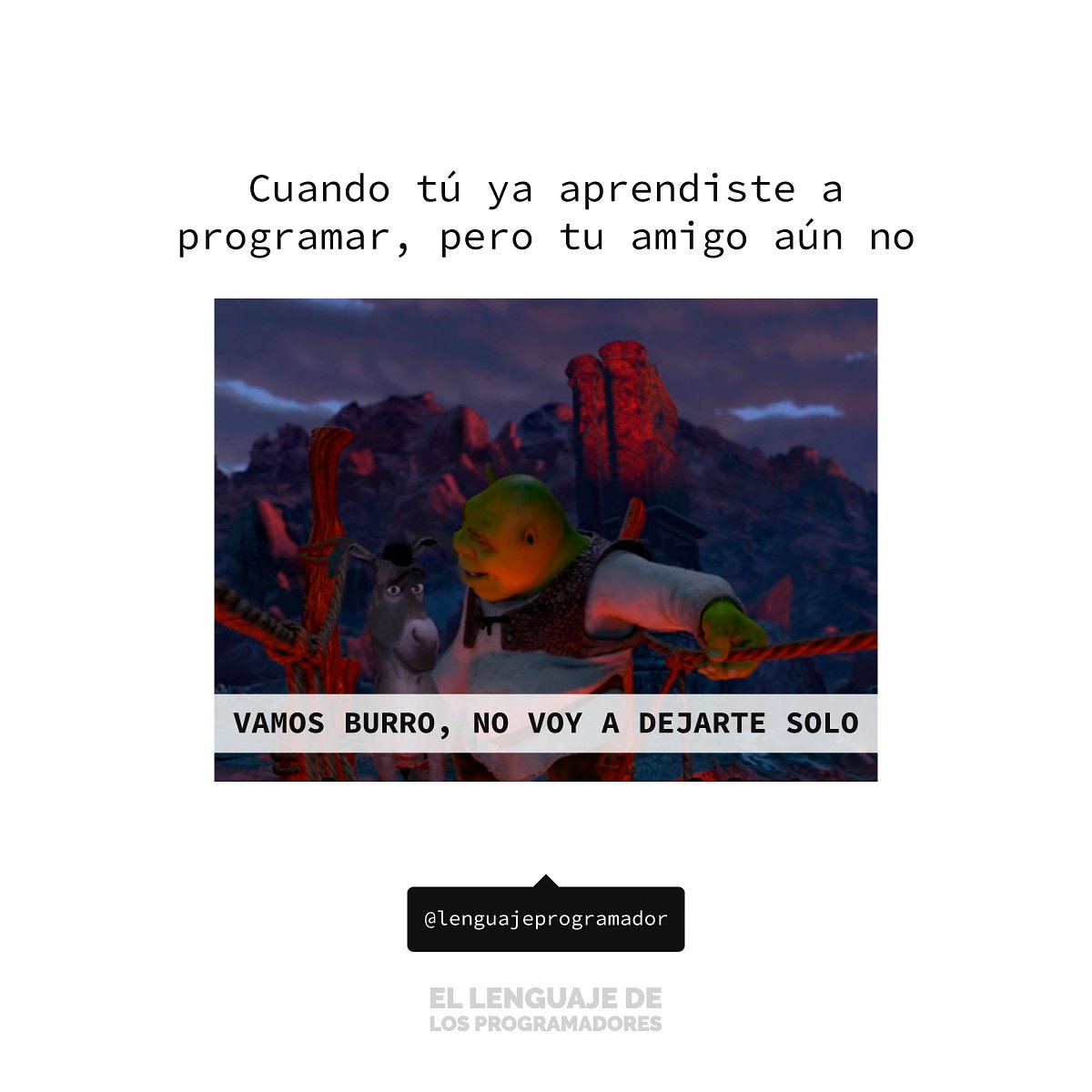 Lenguaje Programador tweet media