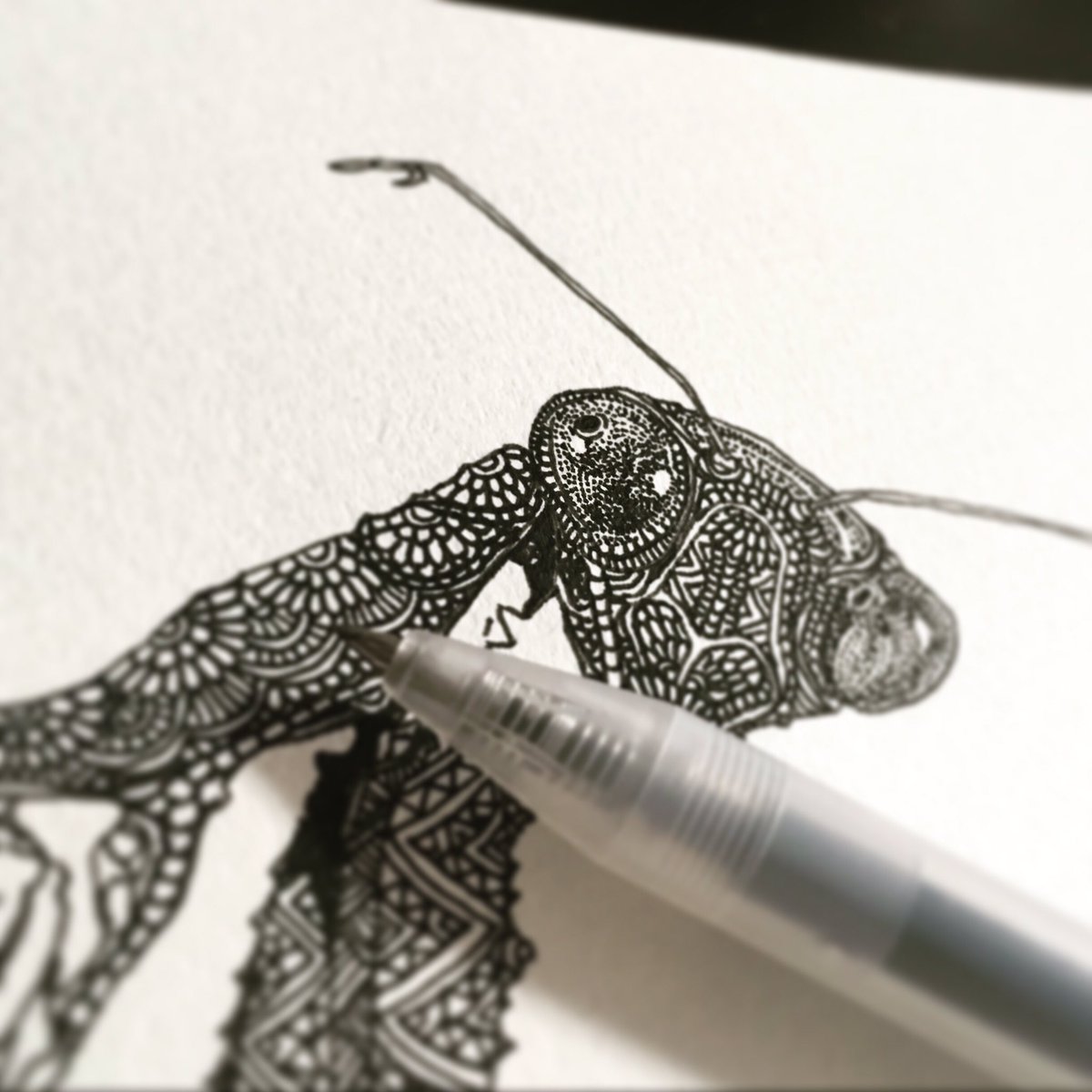 Saki ボールペン画アーティスト まだ途中 昆虫 カマキリ ペン画を流してペン画民を増やそう イラスト好きさんと繋がりたい