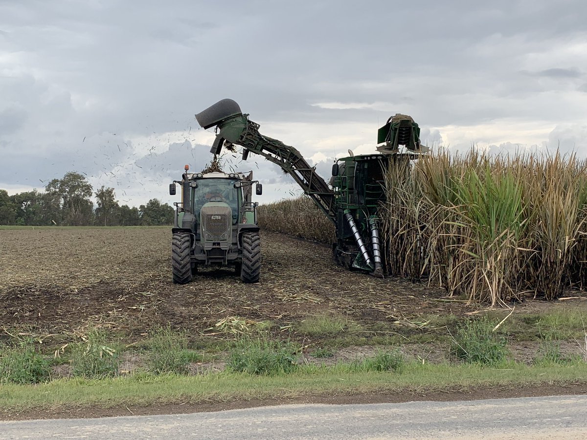 holmesdavid6's tweet photo. Checking out the local Agri. All in a days ride. #GCbiketouring #sugarcane #farmersmarket #rainforest @wilsonsaAnz @bprinaldi https://t.co/U8fT5HOOQ9