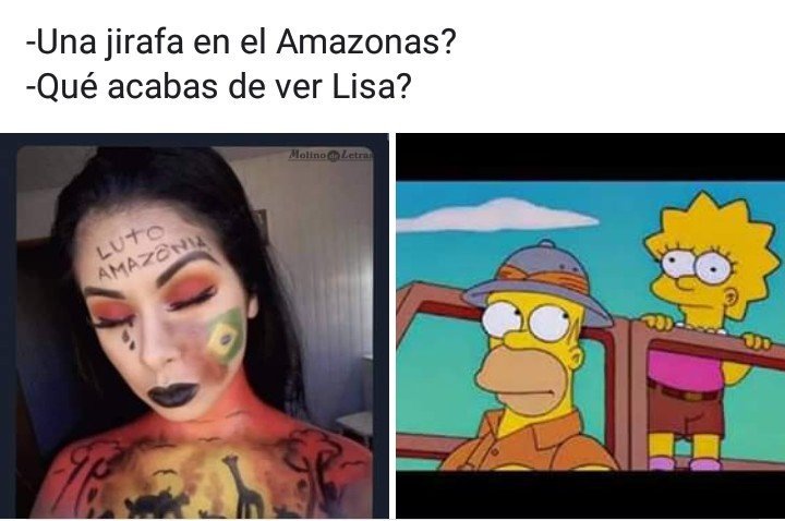 molinodeletras's tweet photo. Todos los "influencers" 🙄
#Amazonas #AmazonasSOS #IncendiosAmazonas #influencers #Jirafa https://t.co/AxKdMr3ssl