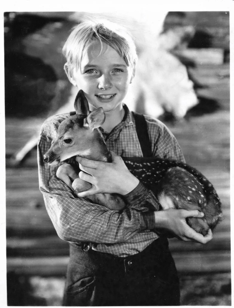 WallaceReid_'s tweet photo. From the film The Yearling Claude Jarman Jr #TCMParty #TCM #TCMFF2018 https://t.co/JBwKaGMsJd