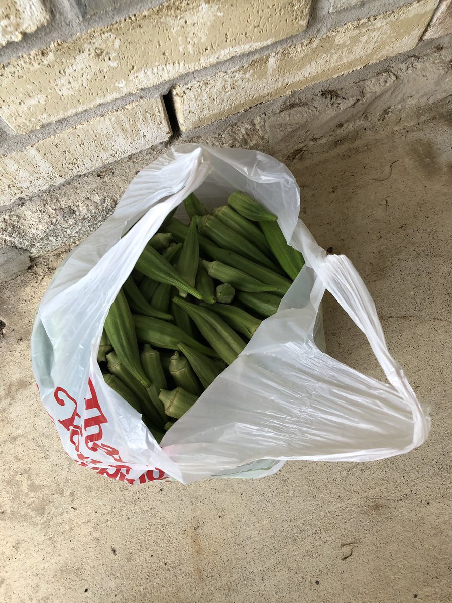 sur_ge_o's tweet image. Someone randomly dropped off a bag of okra...!! #SuperRandom #IDontTrustIt