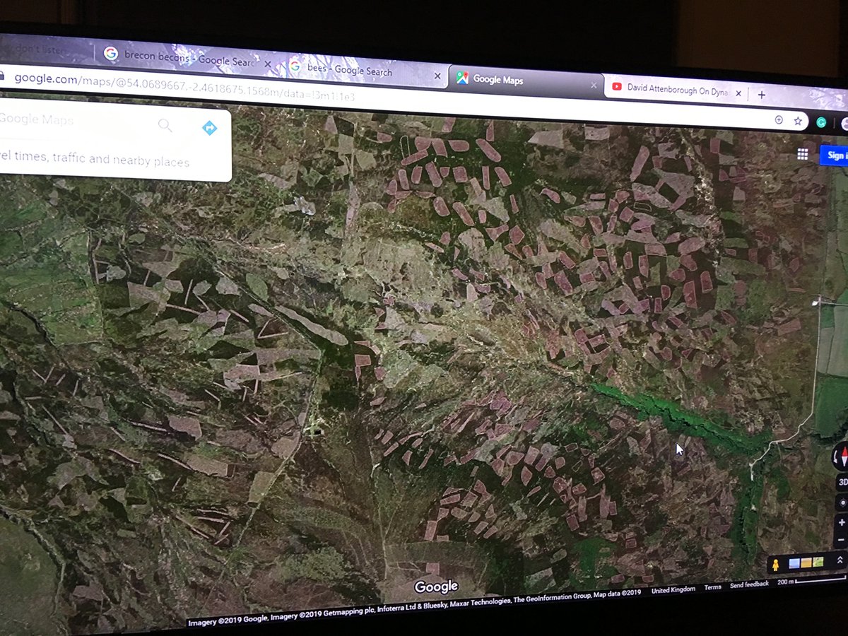 TruthThey's tweet image. BORIS JONSON, what is this ???