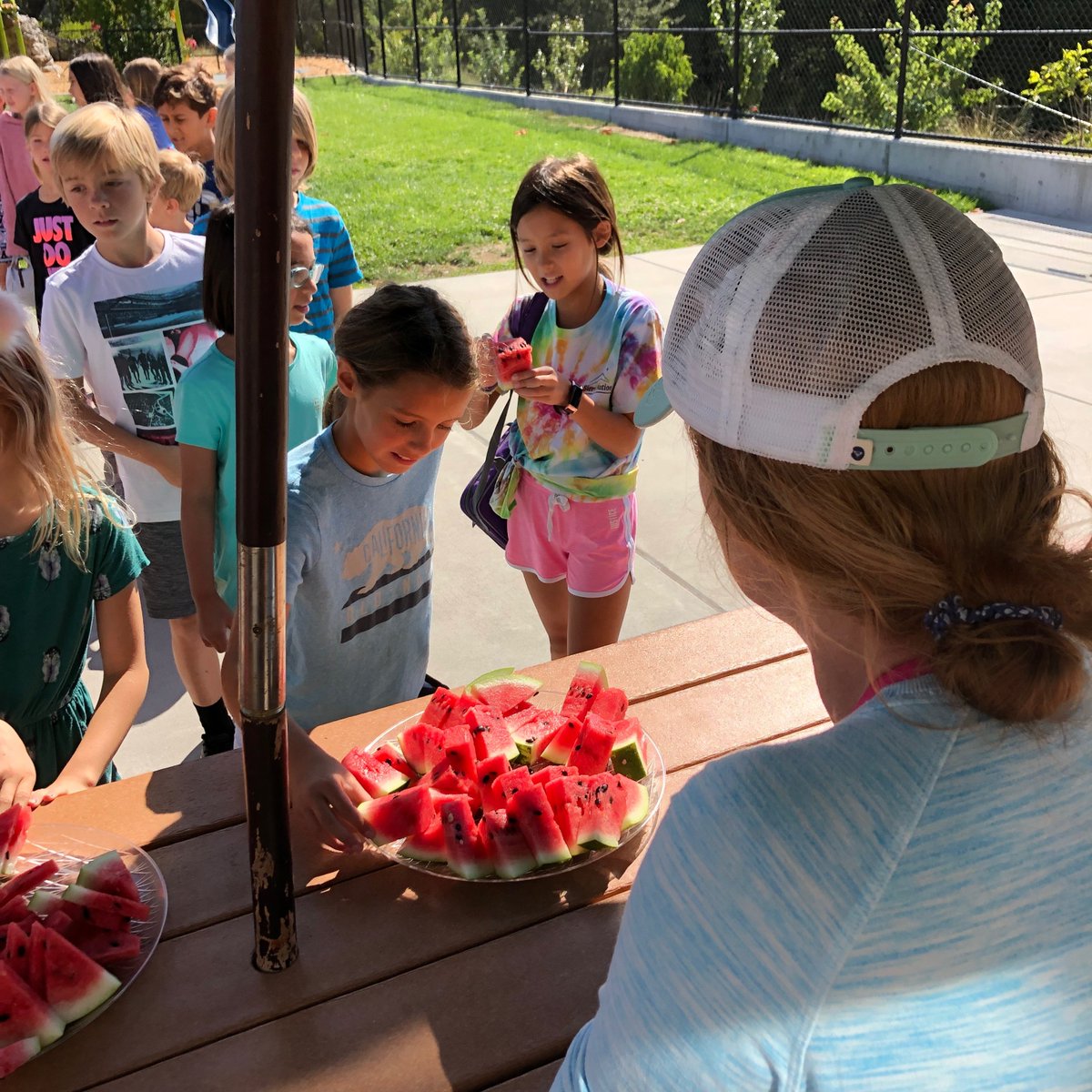 LexWildcatsLG's tweet photo. Watermelons from the garden were a tasty, cool treat on such a hot day!! 🍉 https://t.co/IgRaU7uj2K
