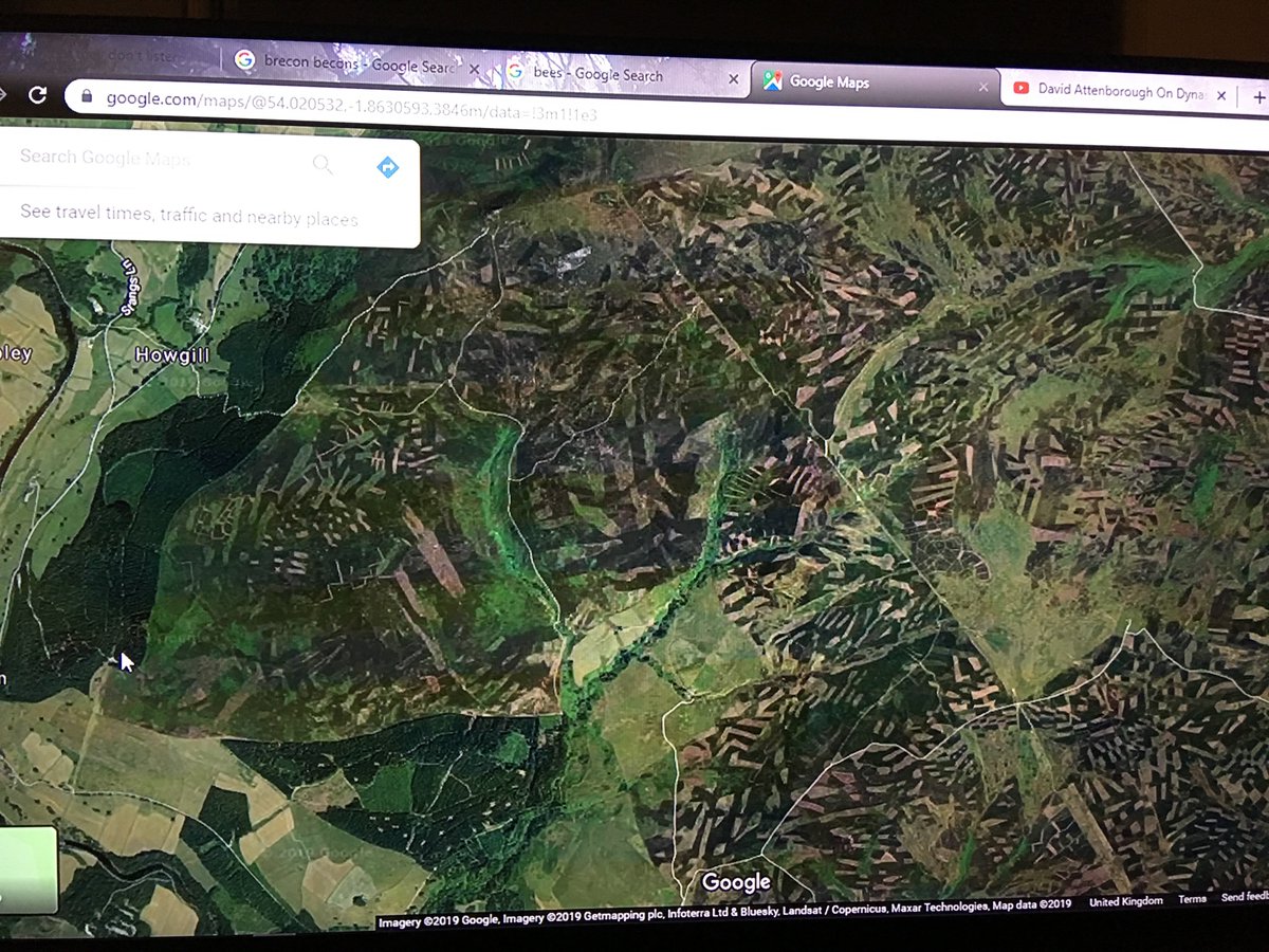 TruthThey's tweet image. Boris johnson- WHAT IS THIS???