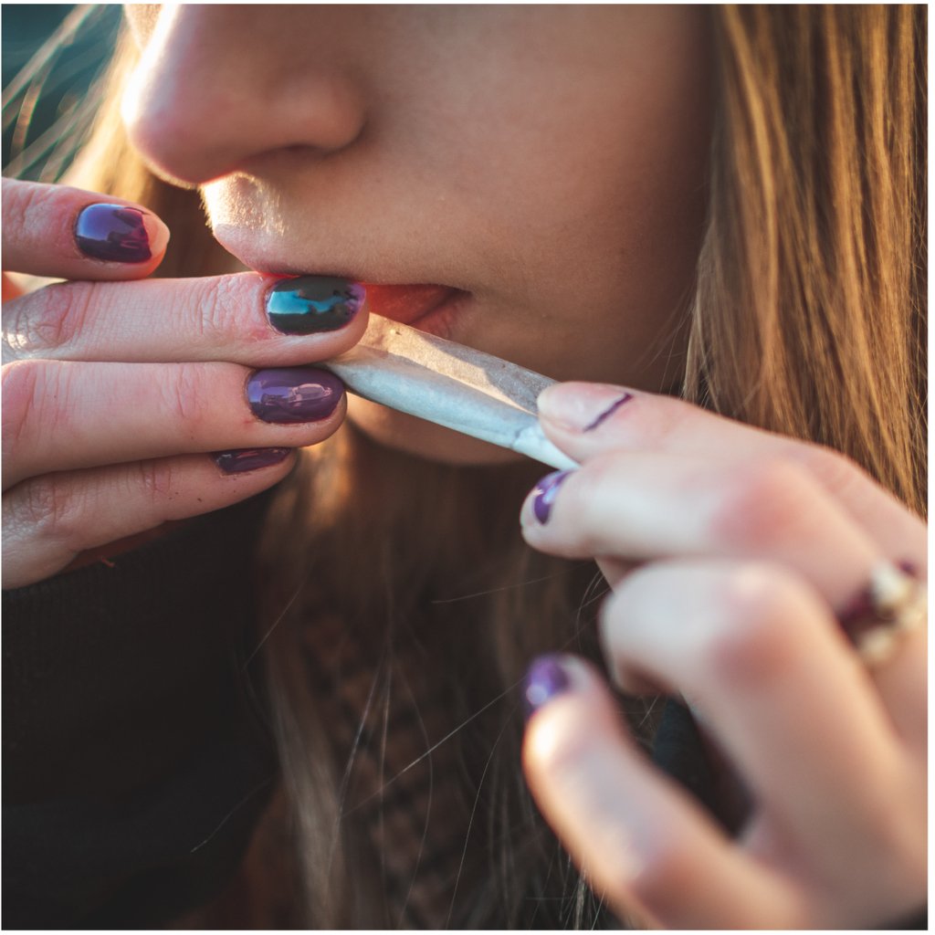 friendlystrnger's tweet photo. The final touch on a masterpiece. Which one of your friends rolls the best joints? Or the worst...
#cannabiscommunity #customrollingtips #rollingtips #weshouldsmoke #rollwithus #jointlife #rollone #rollup #highlife #cannabis #weedsociety #highaf #friendlystranger #stayfriendly https://t.co/Jdn4e1ZUI7