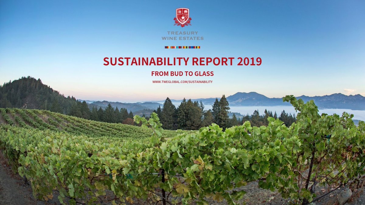 We’ve proudly published our 2019 Sustainability Report highlighting strong progress. We have an enduring commitment to operate sustainably, safely and responsibly as we work towards our vision of being the world’s most celebrated wine company. Visit tweglobal.com/sustainability