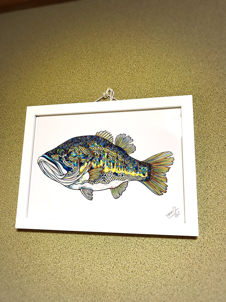 Namiko イラスト図鑑 ブラックバス File185 イラスト 魚 ブラックバス Namiko イラスト図鑑 ブラックバス File185 イラスト 魚 ブラックバス
