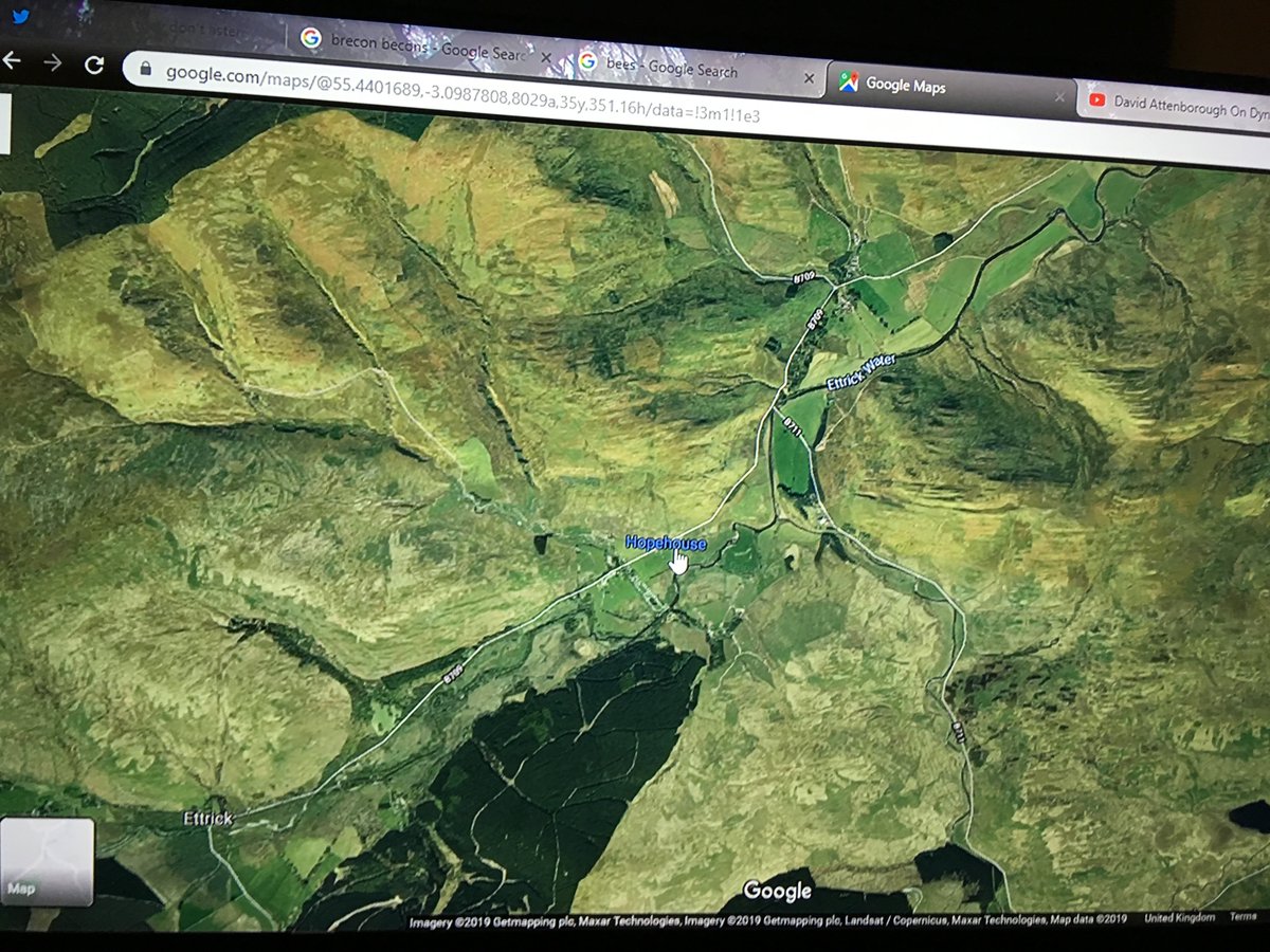 TruthThey's tweet image. BORIS JOHNSON- TREE'S TREE'S TREE'S, air pollution causes asthma, start planting, every day is a day too late