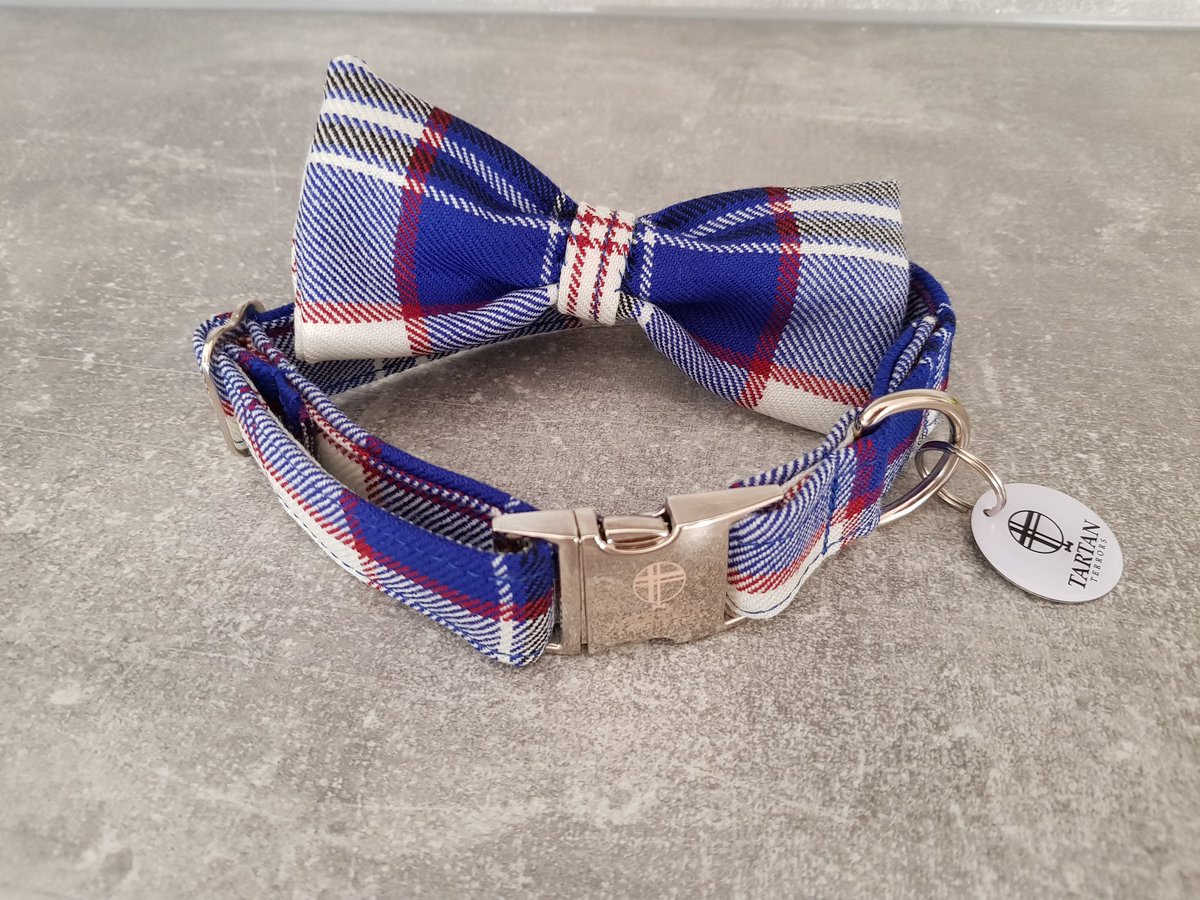 Jock_TheDog's tweet photo. If you are in Glasgow area Saturday and Sunday 7th and 8th September,  come along to the Dog Lover show in SECC.  Tartan Terrors Will be there https://t.co/DAL4UOCQJ8