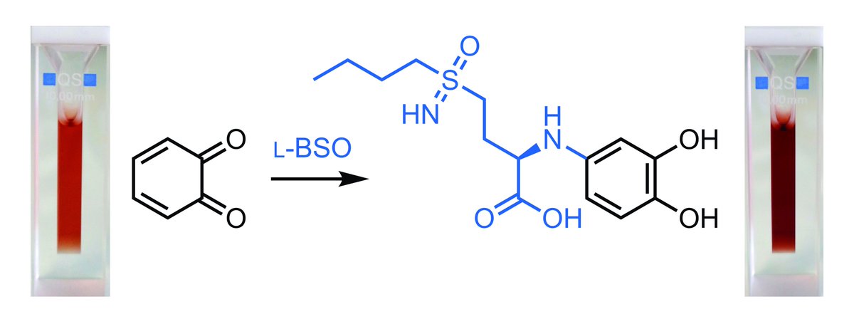 Molecules_MDPI's tweet image. #mdpimolecules l-Buthionine Sulfoximine Detection and Quantification in Polyurea Dendrimer Nanoformulations mdpi.com/1420-3049/24/1… #catechol #nanoformulation #UVVisdetection #derivatization