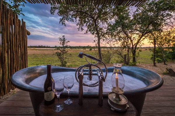 chipembele's tweet photo. A SAFARI OF A LIFETIME: Auction Fundraiser 100% proceeds to Chipembele! -  https://t.co/rBktoDjIrr https://t.co/KRfXrFDOpx