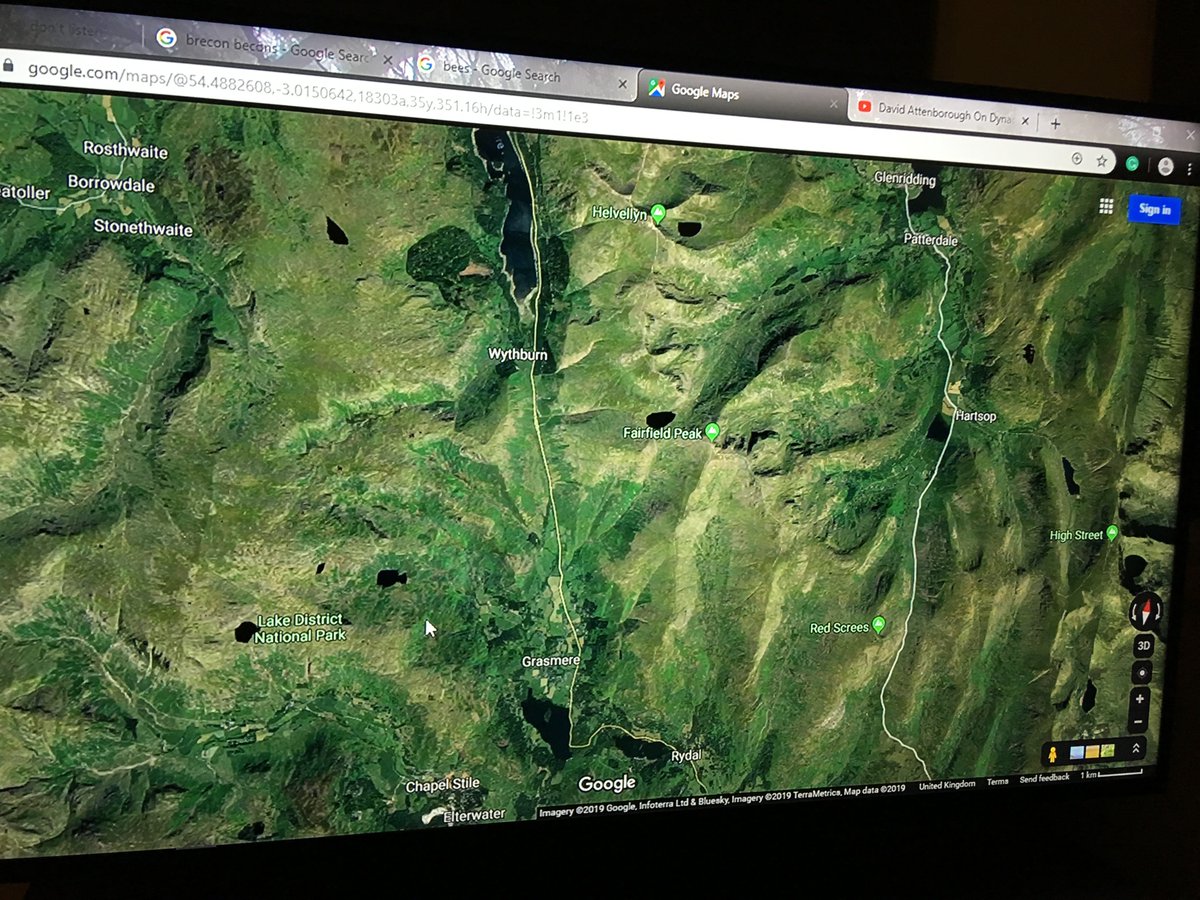 TruthThey's tweet image. BORIS JOHNSON- there is plenty of land lying empty waiting to have tree's planted in the UK