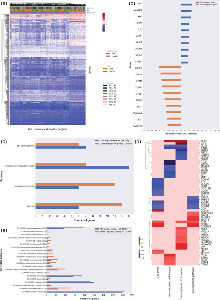 georgemias's tweet photo. Our latest paper is now out: “Multi-study reanalysis of 2,213 
acute myeloid #leukemia patients 
reveals age- and sex-dependent 
gene expression signatures” https://t.co/pTtDYcptSU via @SciReports
- Great job Raeuf Roushangar! 

@MSUIQ https://t.co/OKWNSkExHL
