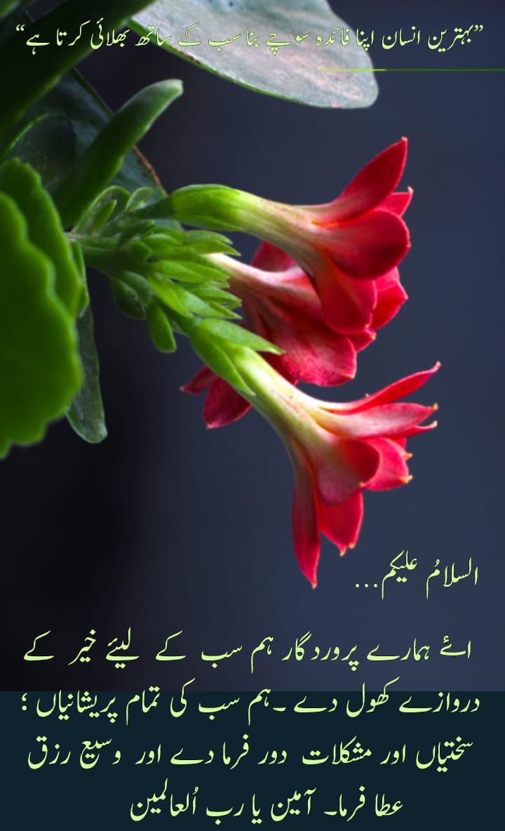 AqrarUl's tweet photo. صبح کا سلام اک رسم ہی نہیں اپنوں سے چاہت اور پیار کی نشانی ہے https://t.co/U8oU2Ic5GN