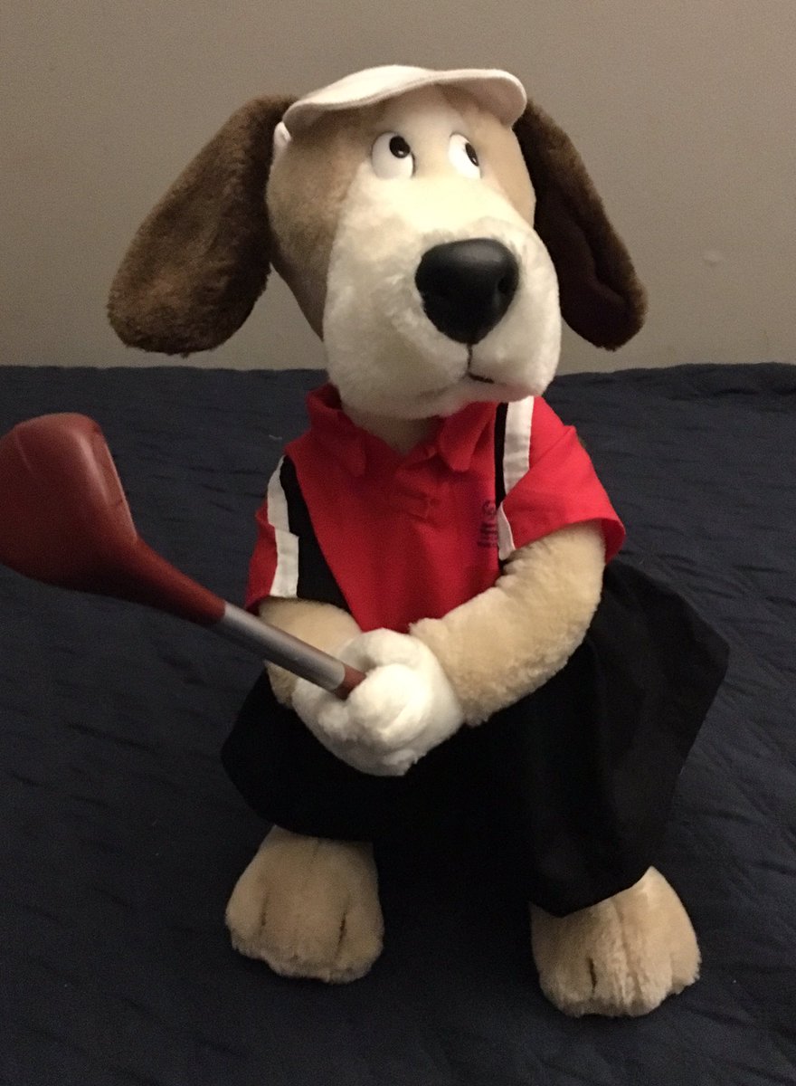 SONCMooreCounty's tweet photo. Introducing Birdie! One of Moore County’s mascots. See her at ⛳️practice this Friday. https://t.co/bR84G6IVjA