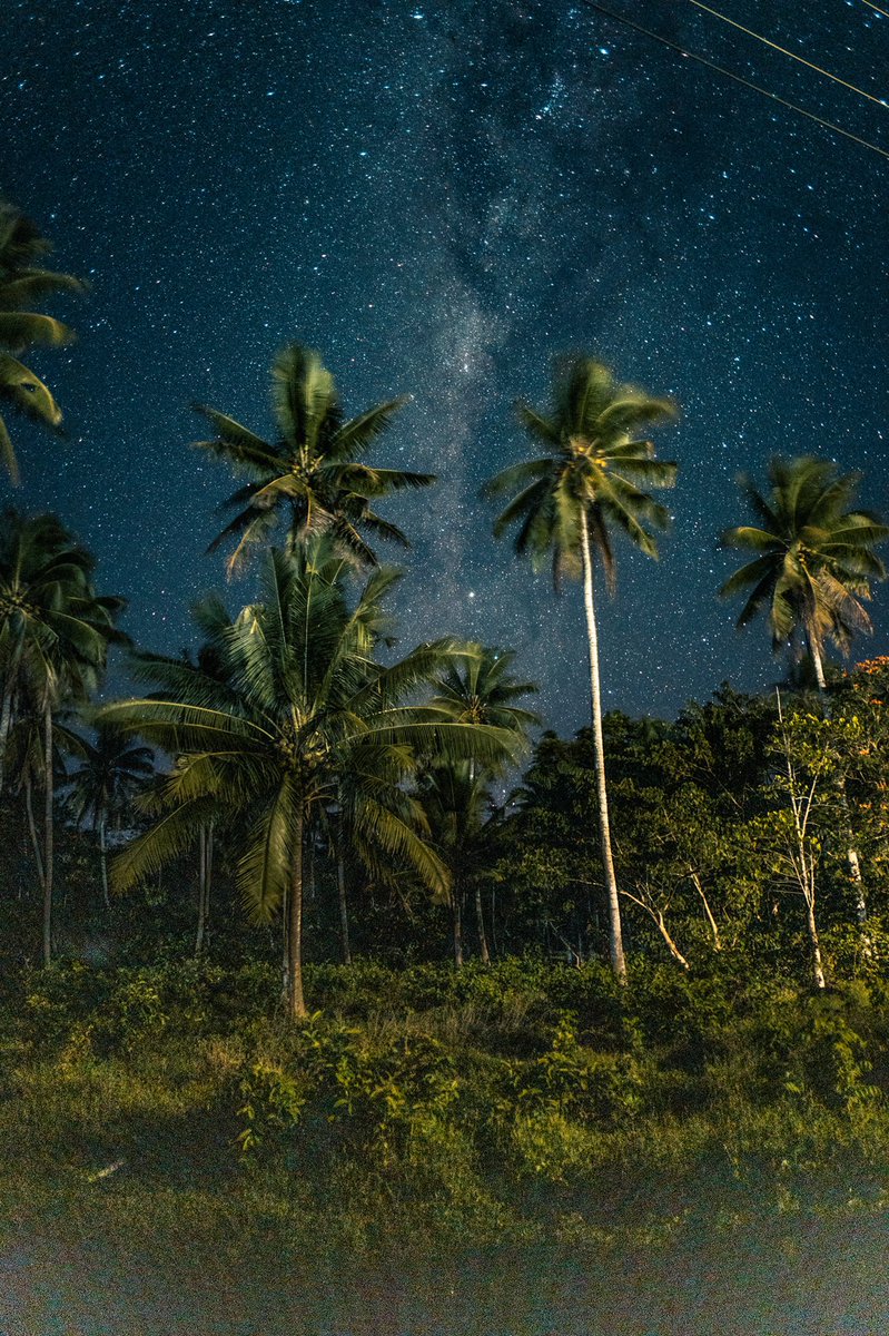 a_falconer's tweet photo. Samoa at night is unreal. If you have a good camera you get pictures like this of the Milky Way https://t.co/ICJJNeeeik