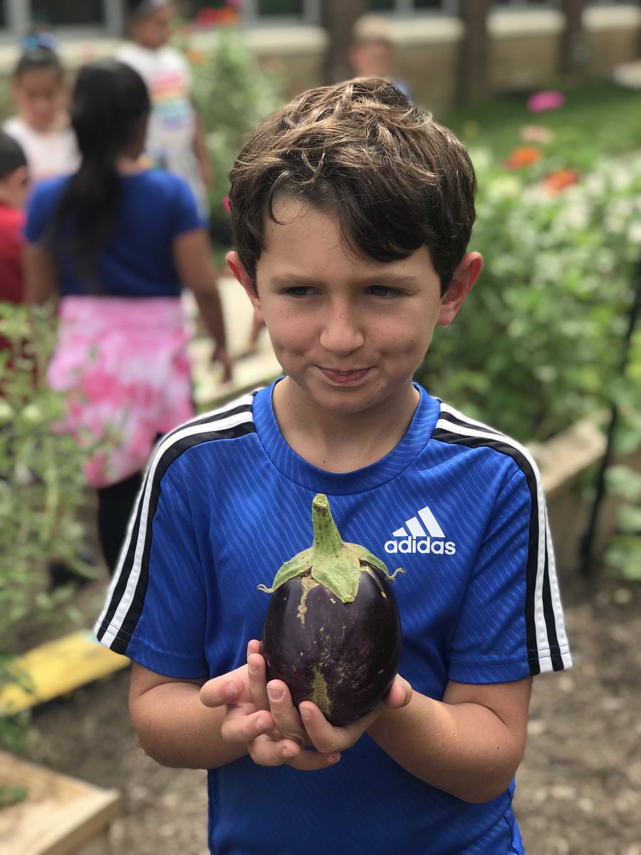HMESOutdoorEd's tweet photo. @HM_MrsBoykin and her 2nd graders were invited to pick one thing from the garden and use one describing word for it! We picked ‘slippery peppers’ and ‘spiky eggplants’ 🍆🌶 #schoolgardens #kidseatgreen #garden2cafeteria #ourHMES #outdoorlearninglab https://t.co/vG8iwweIRU