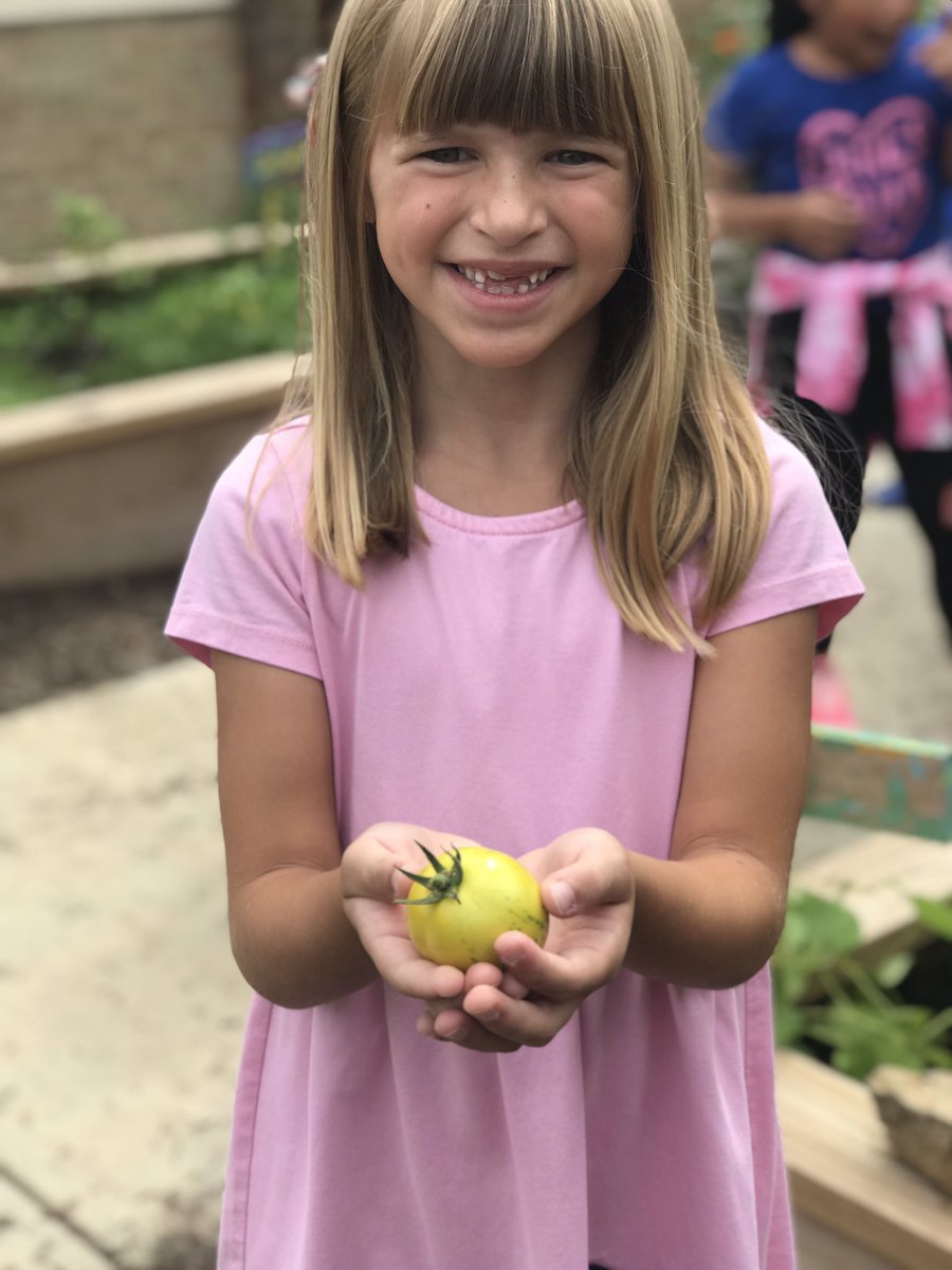 HMESOutdoorEd's tweet photo. @HM_MrsBoykin and her 2nd graders were invited to pick one thing from the garden and use one describing word for it! We picked ‘slippery peppers’ and ‘spiky eggplants’ 🍆🌶 #schoolgardens #kidseatgreen #garden2cafeteria #ourHMES #outdoorlearninglab https://t.co/vG8iwweIRU