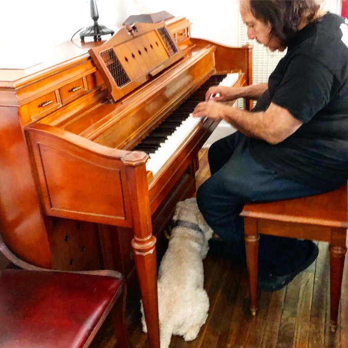 Being kind to animals is cool. Did you know that at your local animal shelter you can also get turtles<a href="/tag/tbt"class="tags"><span>#tbt</span></a>