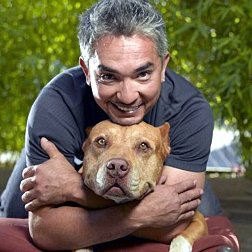 Happy Birthday to Cesar Millan ! 