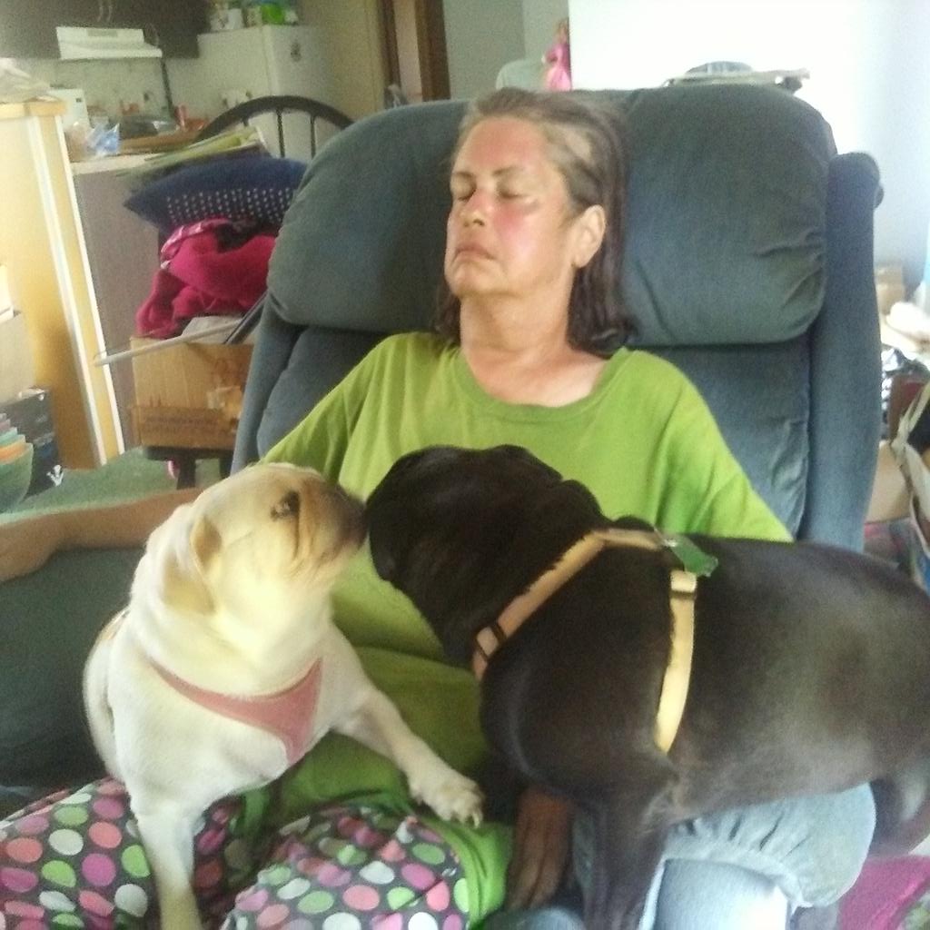 <a href="/ThugPugMom/">ThugPugMom(Linda),Otis and Rosie</a> <a href="/JamesCraigmyle/">James Craigmyle</a>