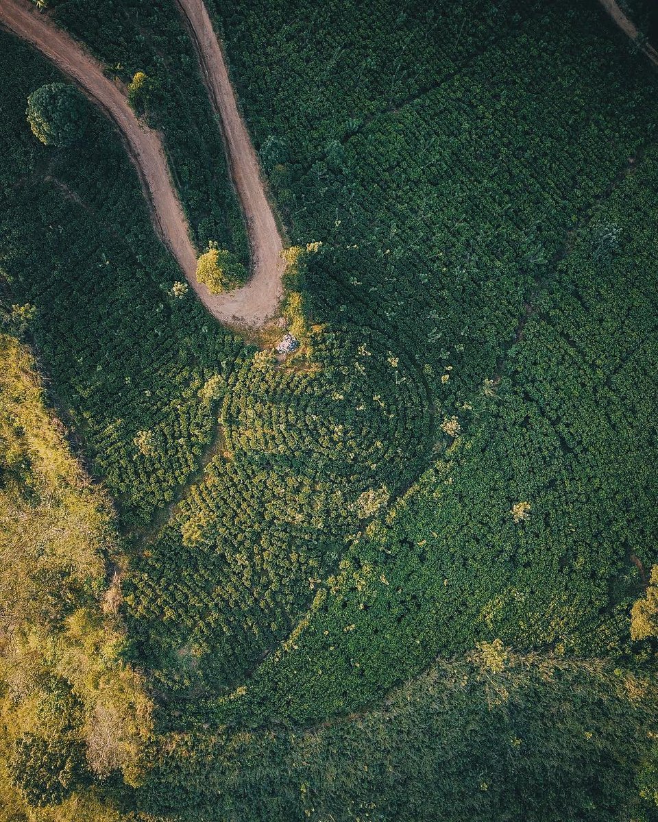 SLankax's tweet photo. Sri Lanka

#srilankax #srilanka_x #travel #instatravel #travelgram #traveling #mytravelgram #srilanka #ceylon #placestobe #traveldiaries  #wanderlust #followme #liveoutdoors #letsgosomewhere #getbusylivin #lifeofadventure #ourplanetdaily #visualsoflife 

📸 pradeep_gamage https://t.co/E1svhOmFtZ