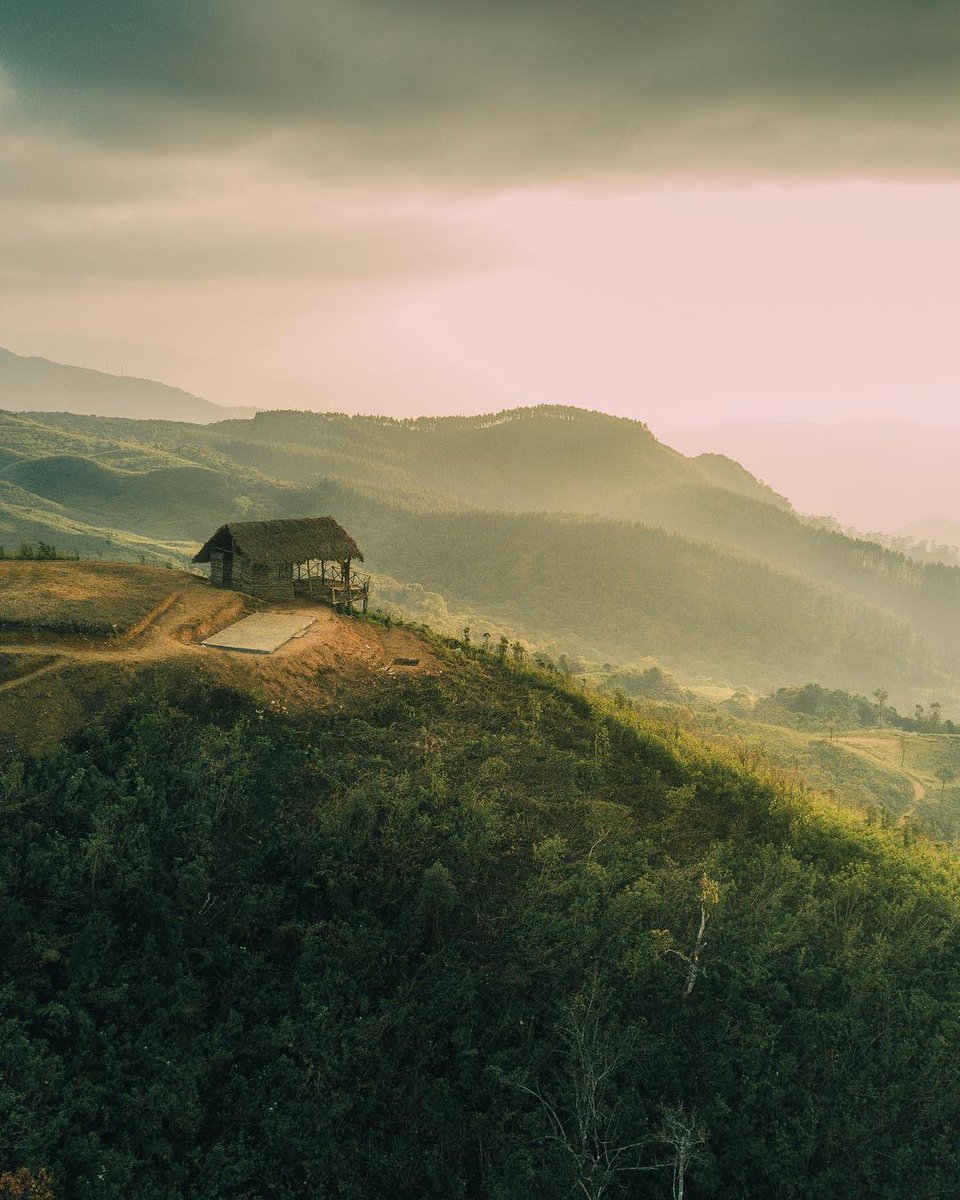 SLankax's tweet photo. Sri Lanka

#srilankax #srilanka_x #travel #instatravel #travelgram #traveling #mytravelgram #srilanka #ceylon #placestobe #traveldiaries  #wanderlust #followme #liveoutdoors #letsgosomewhere #getbusylivin #lifeofadventure #ourplanetdaily #visualsoflife 

📸 pradeep_gamage https://t.co/tbSRTsFEy1