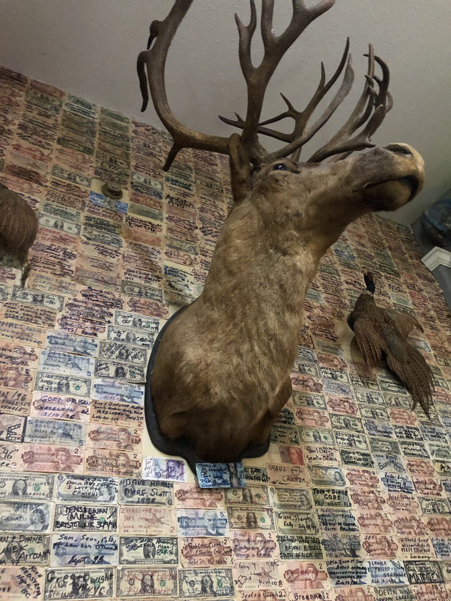 goldfinder12's tweet photo. Mid-century prospectors had their own escrow provision: their name on a bill tacked to a Glacier Inn wall in Hyder, AK.  If they came back broke after a seasons work around Stewart, they would have enough $ to drown their sorrows! Today, there’s $100K on the walls. #Hyderized https://t.co/LmtctrYwwr