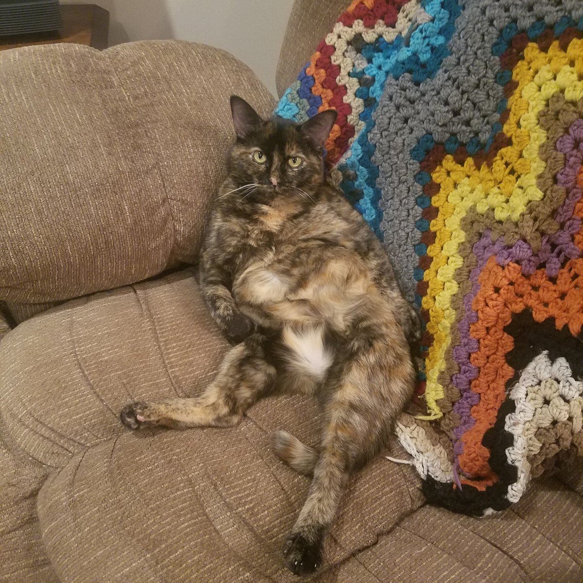 alyssawaking's tweet image. rebel wilson would play my daisy baby #catcasting