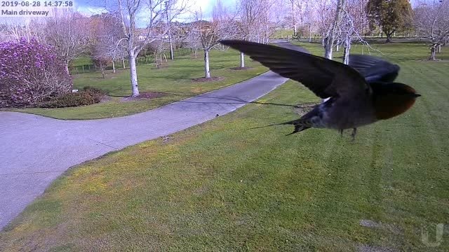 @ubnt Your cameras are awesome... just saying.  Thanks <a href="/SnapperNetworks/">SnapperNet</a> also