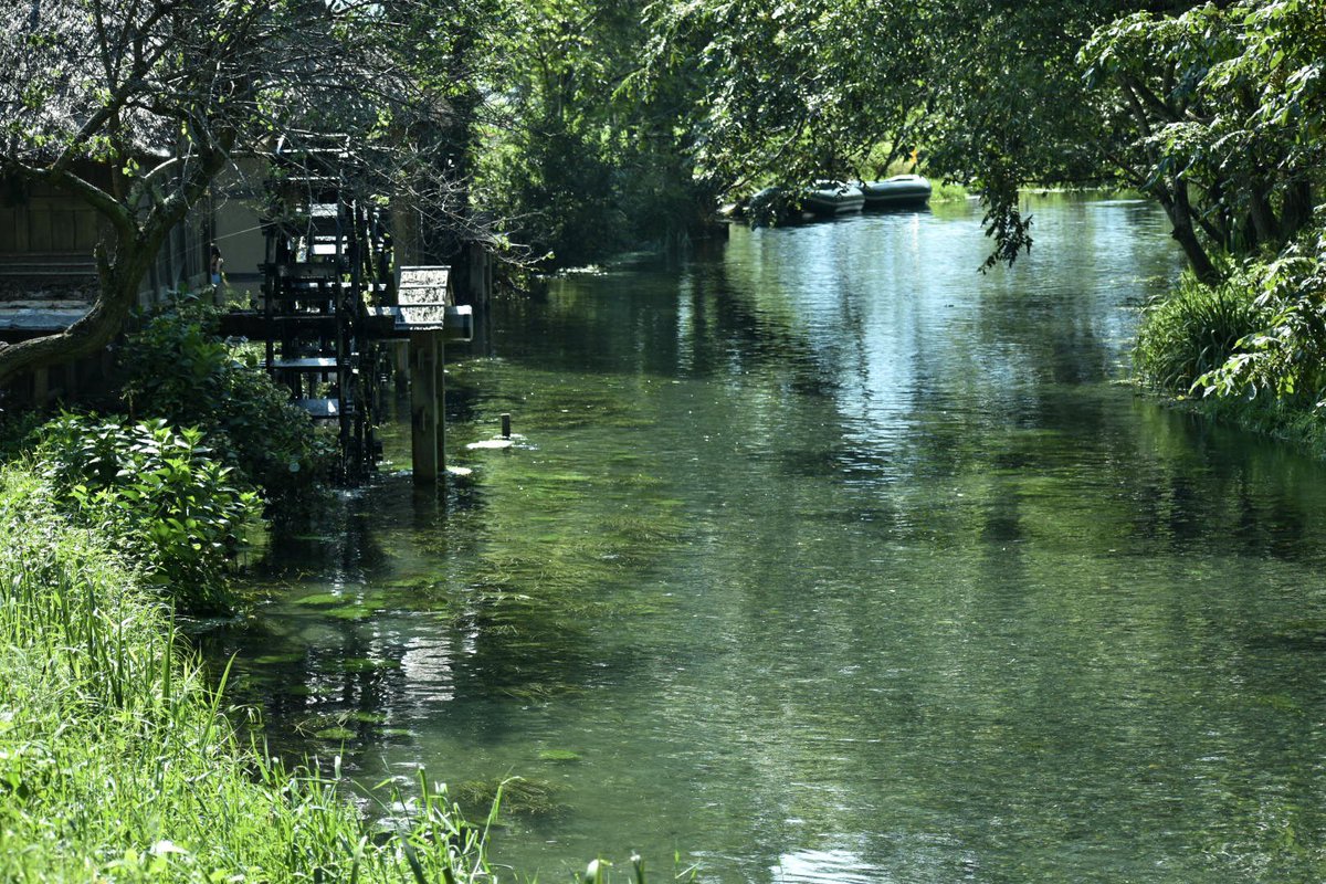 長野、岐阜はすごくいいところだった