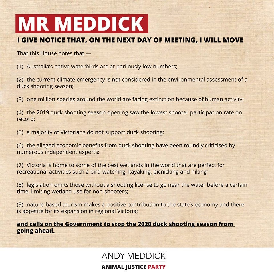 AndyMeddick2's tweet photo. Today I led a debate on the future of duck shooting and called on the government to listen to Victorians and ensure the 2020 season does not go ahead. https://t.co/CvAsT5TO8i