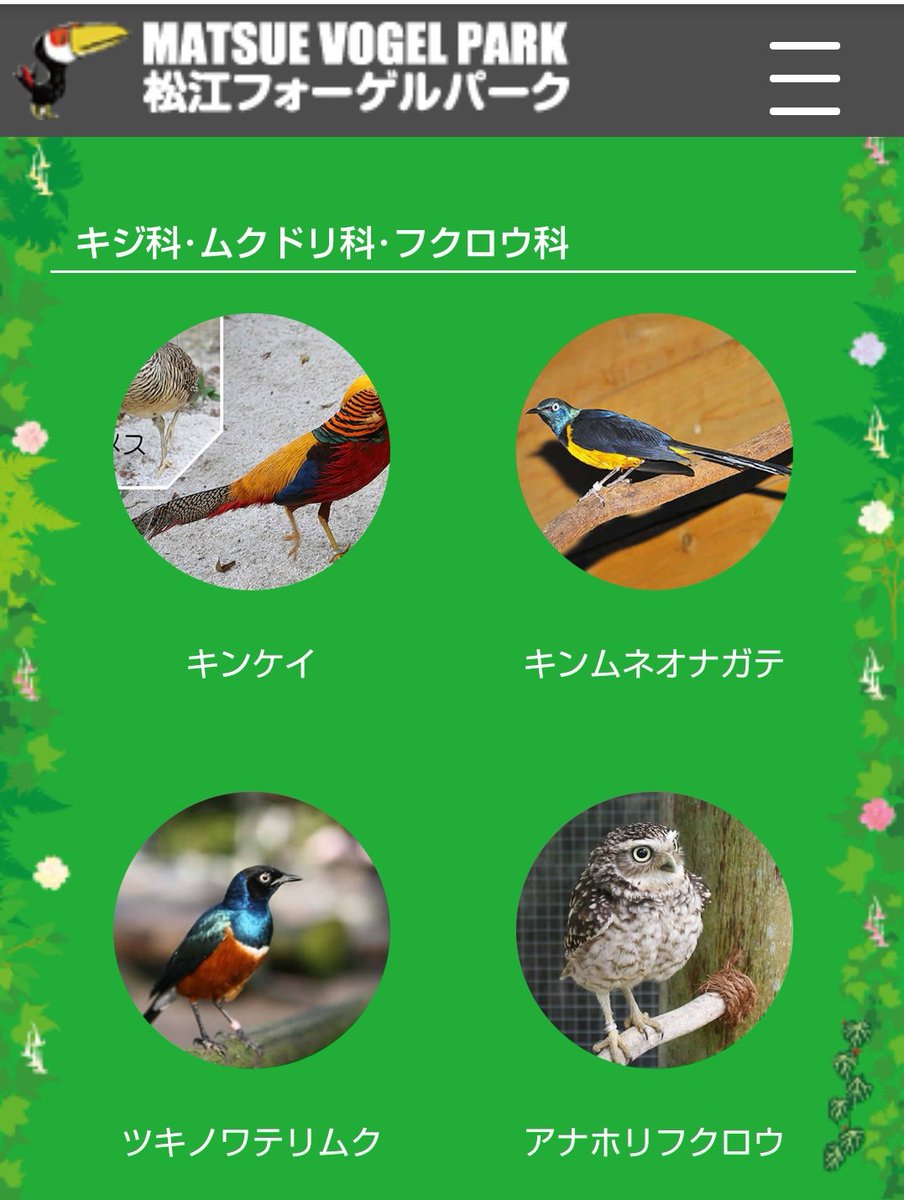 Mrbr 今もいるのかな ツキノワテリムクもアフリカに生息するムクドリの仲間とのこと アフリカの鳥は派手ですね オランダのムクドリはもっと日本のムクドリに近い種類のようです 地味 T Co S0hj7s0gil Twitter
