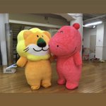 たべっこどうぶつのインスタが可愛すぎると話題!