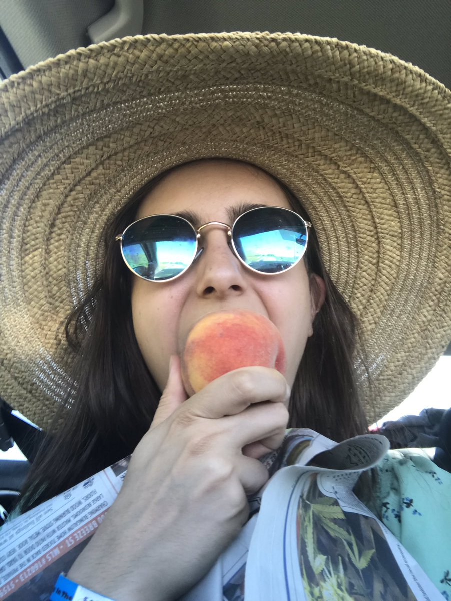 Colliciatrippin's tweet photo. Peaches?!? We’ll take 200! #roadsideproduce #collindoesntlikepeaches Perry, UT aka peach city https://t.co/sM4VVeAcEP