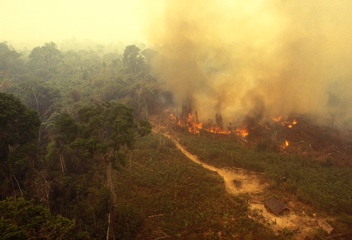 Are the fires in the Amazon really as bad as they seem? Short answer: yes. 

Now let’s break down some common misconceptions.