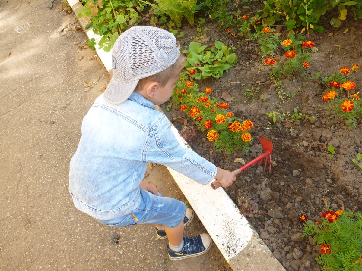 Подготовка клумбы к осенне-зимнему сезону.Старшая логопедическая группа.Воспитатель Асламова Н.Ф.
