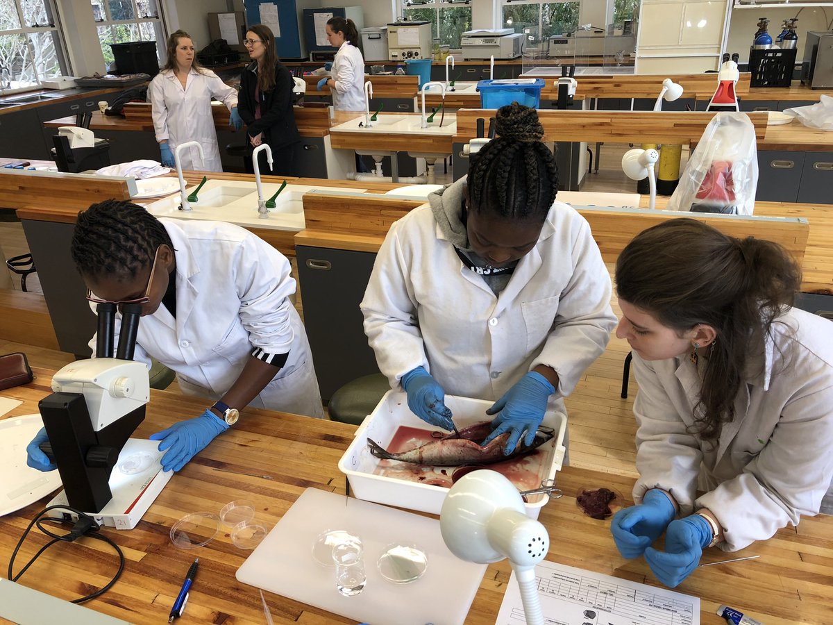 Ali Halajian (@alihalajian) on Twitter photo #MarineParasitology workshop Day2, <a href="/BioSciUCT/">Biological Sci UCT</a>.
Practicals. Great to see so many eager students. A great hands on practice.
#SARChILuusPowell <a href="/ULvarsity/">University of Limpopo</a>
#UCTParasites2019 #UCTMarineParasitology
<a href="/SANBI_ZA/">SA Biodiversity</a> <a href="/NRF_News/">National Research Foundation of South Africa</a> <a href="/UCT_Research/">UCT Research</a> #SouthAfrica #MarineParasitology workshop Day2, <a href="/BioSciUCT/">Biological Sci UCT</a>.
Practicals. Great to see so many eager students. A great hands on practice.
#SARChILuusPowell <a href="/ULvarsity/">University of Limpopo</a>
#UCTParasites2019 #UCTMarineParasitology
<a href="/SANBI_ZA/">SA Biodiversity</a> <a href="/NRF_News/">National Research Foundation of South Africa</a> <a href="/UCT_Research/">UCT Research</a> #SouthAfrica