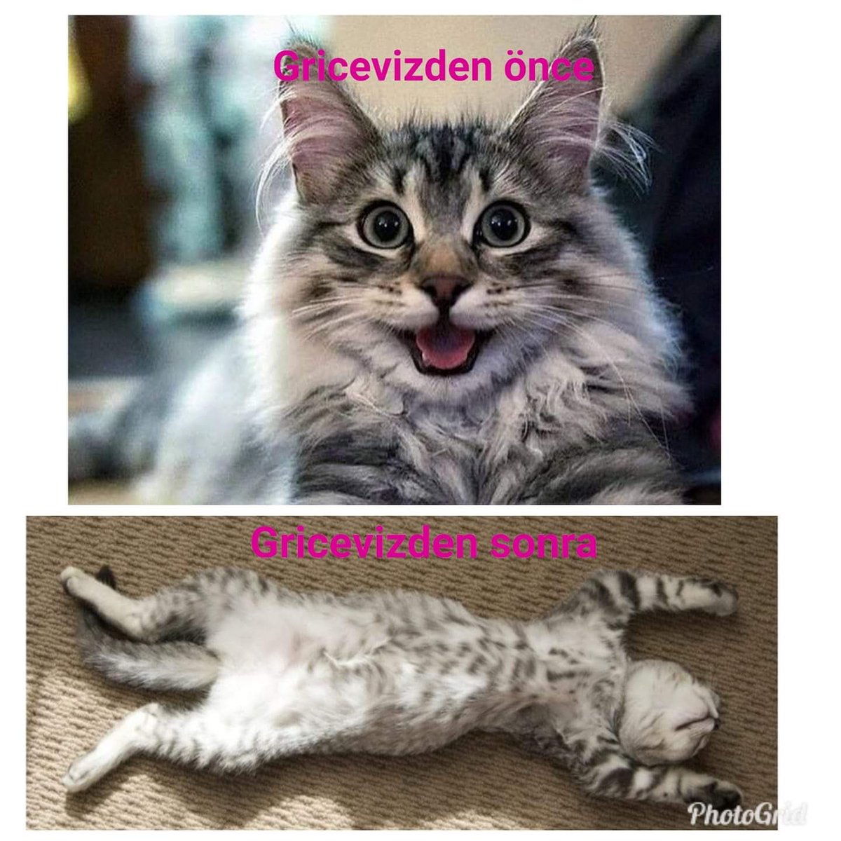 erdmkbr's tweet photo. 😁🤪 https://t.co/R2bISQgaXO