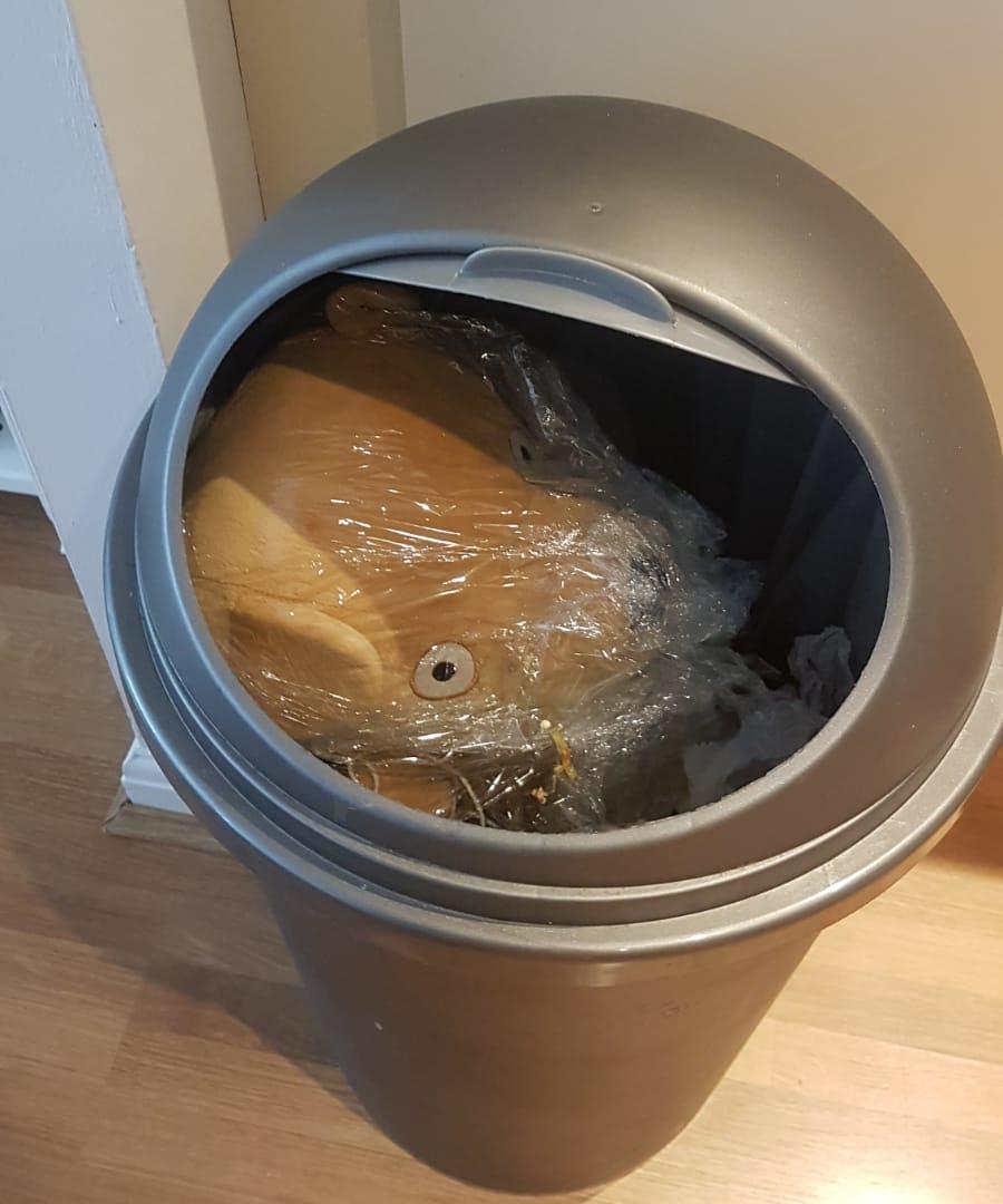 TheUnratedCut's tweet photo. WHY IS TEDDY IN THE BIN? 

Check out Ep 4 to find out, and watch @ChrisNials and @ZoboWithShotgun discuss the extreme horror 'classic' AMERICAN GUINEA PIG: BOUQUET OF GUTS AND GORE

https://t.co/XQSLA5xFJ5 https://t.co/X5DZ7j70K7