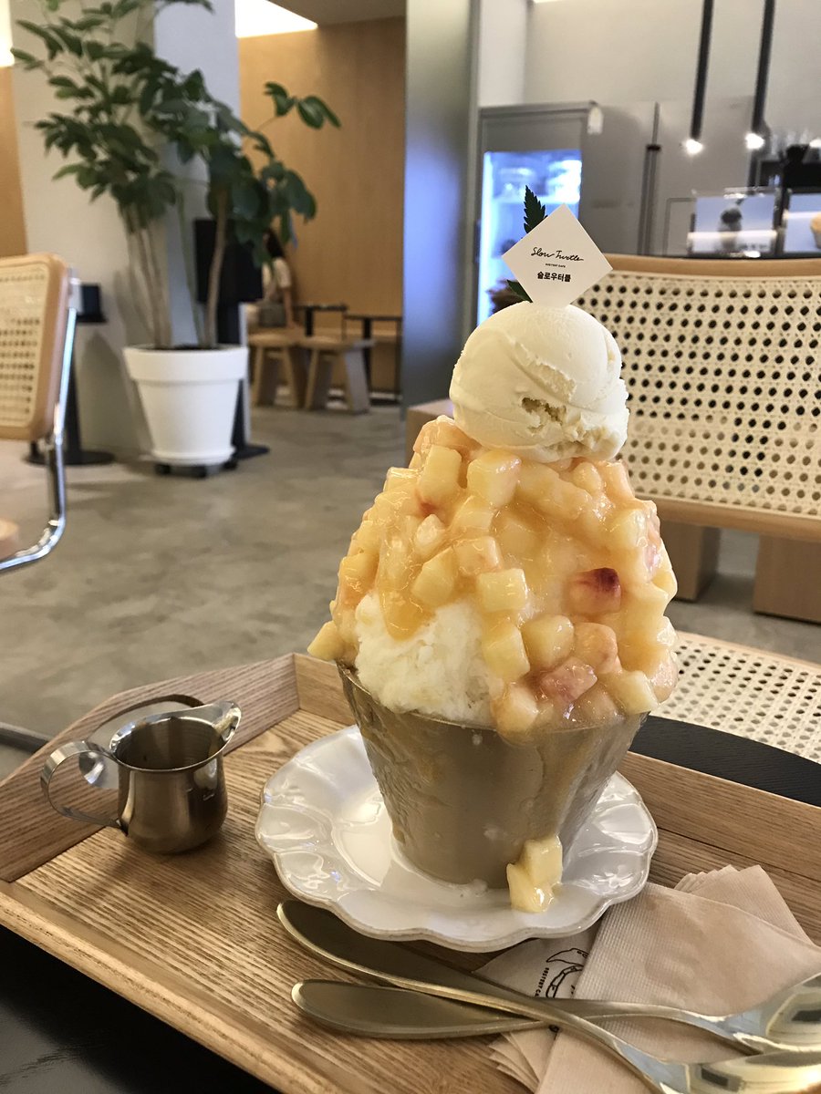 albertus's tweet photo. モモ #daegu #slowturtle #大邱
いやはや https://t.co/AuzWXDHx6e