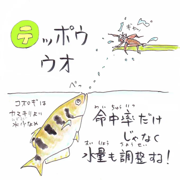 【テ】#テッポウウオ 
口から鉄砲のように水を発射できるテッポウウオ 。餌のサイズによって水量も調整することができる高性能!しかし意外とジャンプ力もあるので、自力で跳んで食べにも行くのだっ?#あいうえおさかな 