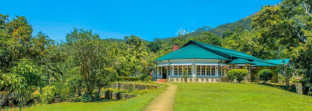 Ancientbungalows Hashtag On Twitter