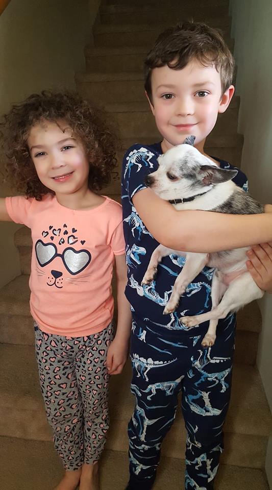 lisabeesims1's tweet photo. #futuretornados #gmalyfe #youaremysunshine #littlerascals #mybubbas #equaltime Love you my sweeties! <3 https://t.co/pk5theHj5w