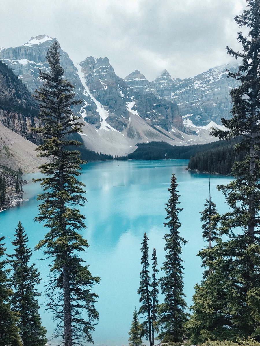 MerelyMira's tweet photo. I really should go live in Canada for a while. But I might never come home 🤷🏻‍♀️ https://t.co/VICdil0qSA
